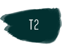 t2