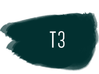 t3